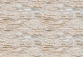 Wizard+Genius Stone Wall Wall Mural 366x254cm 8 Panels | Yourdecoration.com