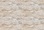 Wizard+Genius Stone Wall Wall Mural 366x254cm 8 Panels | Yourdecoration.com