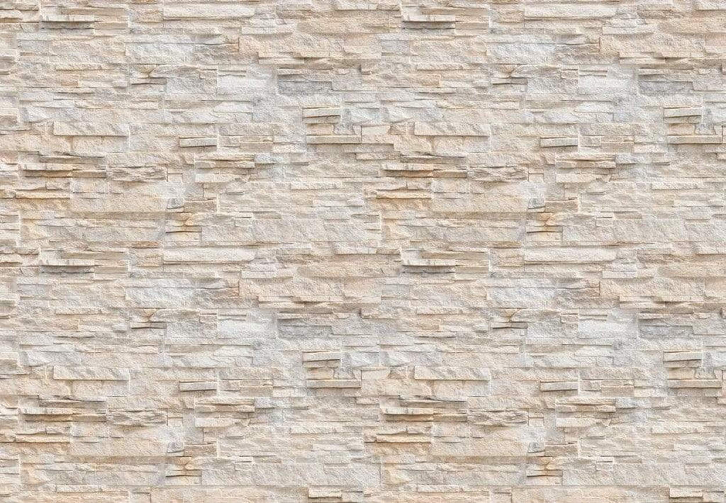 Wizard+Genius Stone Wall Wall Mural 366x254cm 8 Panels | Yourdecoration.com