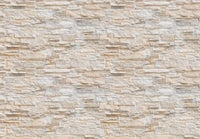 Wizard+Genius Stone Wall Wall Mural 366x254cm 8 Panels | Yourdecoration.com