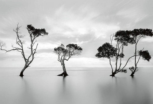 Wizard+Genius Trees in the Still Water Non Woven Wall Mural 384x260cm 8 Panels | Yourdecoration.com