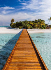 Wizard+Genius Way to Paradise Non Woven Wall Mural 192x260cm 4 Panels | Yourdecoration.com