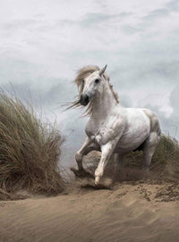Wizard+Genius White Wild Horse Non Woven Wall Mural 192x260cm 4 Panels | Yourdecoration.com