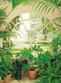 Wizard+Genius Wintergarden Non Woven Wall Mural 192x260cm 4 Panels | Yourdecoration.com