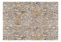 Wall Mural - Pebbles 400x280cm - Non-Woven Murals