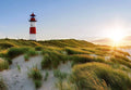 Wall Mural - Lighthouse 366x254cm - Paper Wallpaper